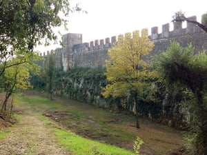 vme-verona