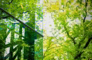 Net Zero Carbon Building 1